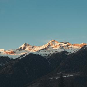 人与马性交手机在线观看
