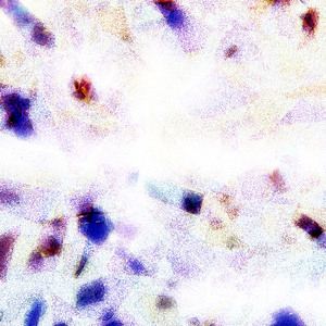 人与马性交手机在线观看
